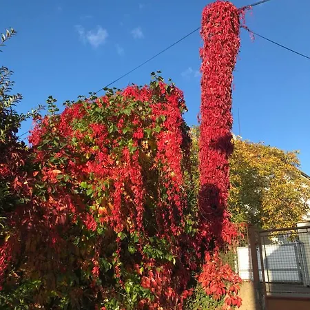 Garden 布拉格