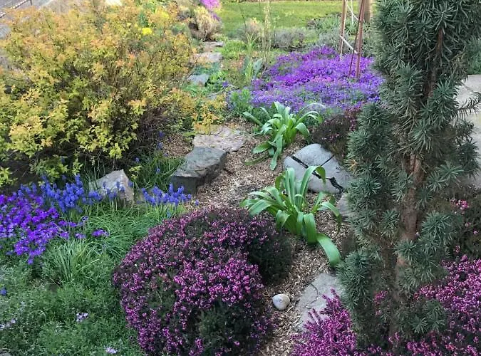 Garden *