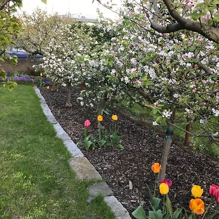 Garden Lägenhet