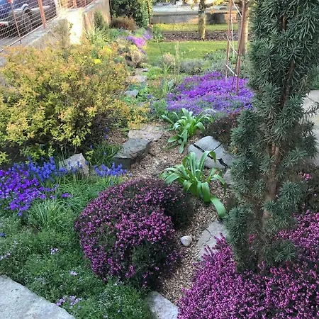 Garden *