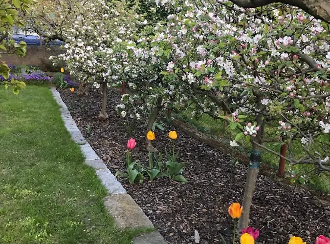 Garden Lägenhet